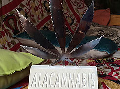 1º premio indoor bio con Blackdance, XIV coppa Alacannabis, Alicante. 2016